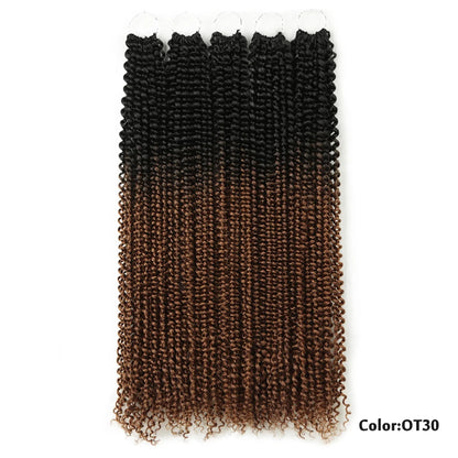 Pre Twisted Passion Twist Crochet Hair Butterfly Locs 24Inch