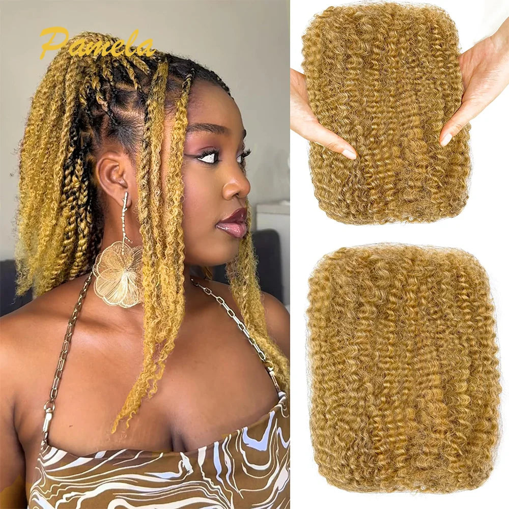 Afro Kinky-Curly Human Hair Bundles for Dreadlock Extensions Locs Repair 100% Human Hair 4C Curly for Mini Twist 50G
